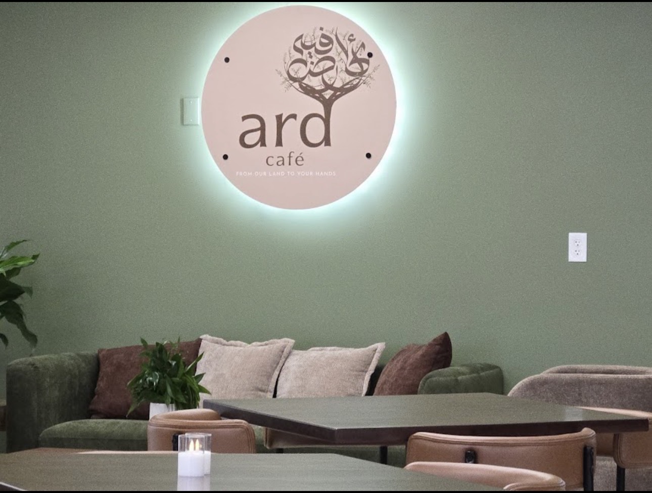 Ard Café interior with olive green walls